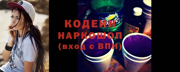 крисы Абаза