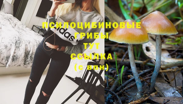 тгк Алексин