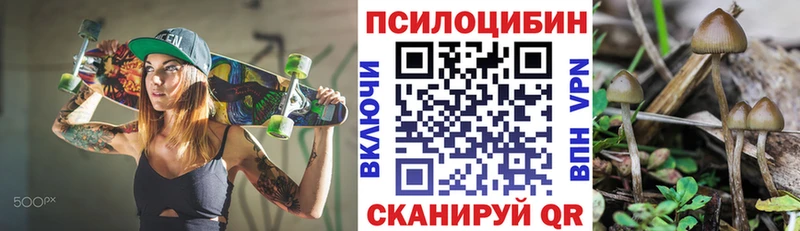 Псилоцибиновые грибы Cubensis  MEGA ТОР  Зверево 